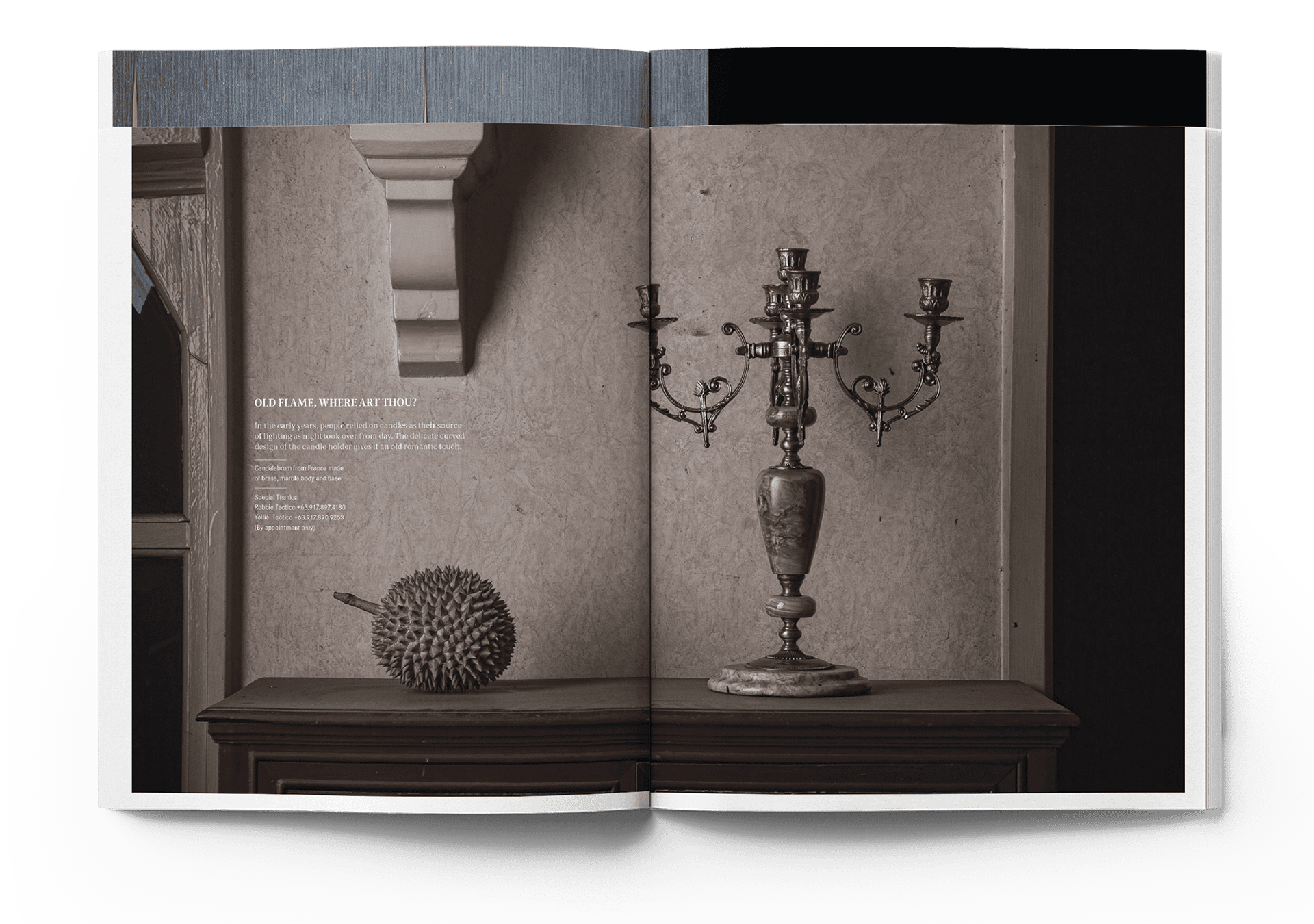 Real Estate Magazine Spread About Furniture