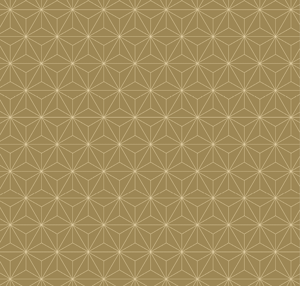 Events Space Brand Pattern 2