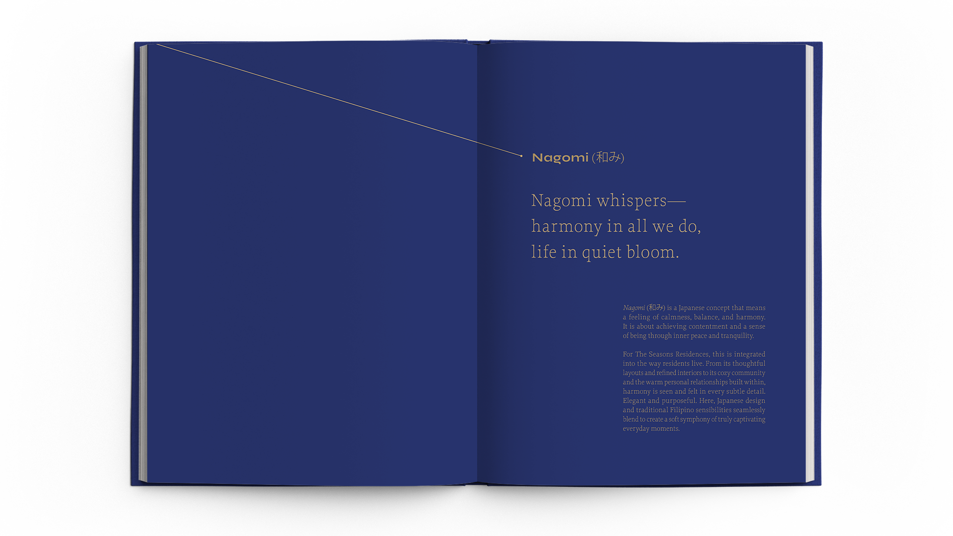 Open book showcasing Nagomi brand identity with serene blue design and elegant typography.