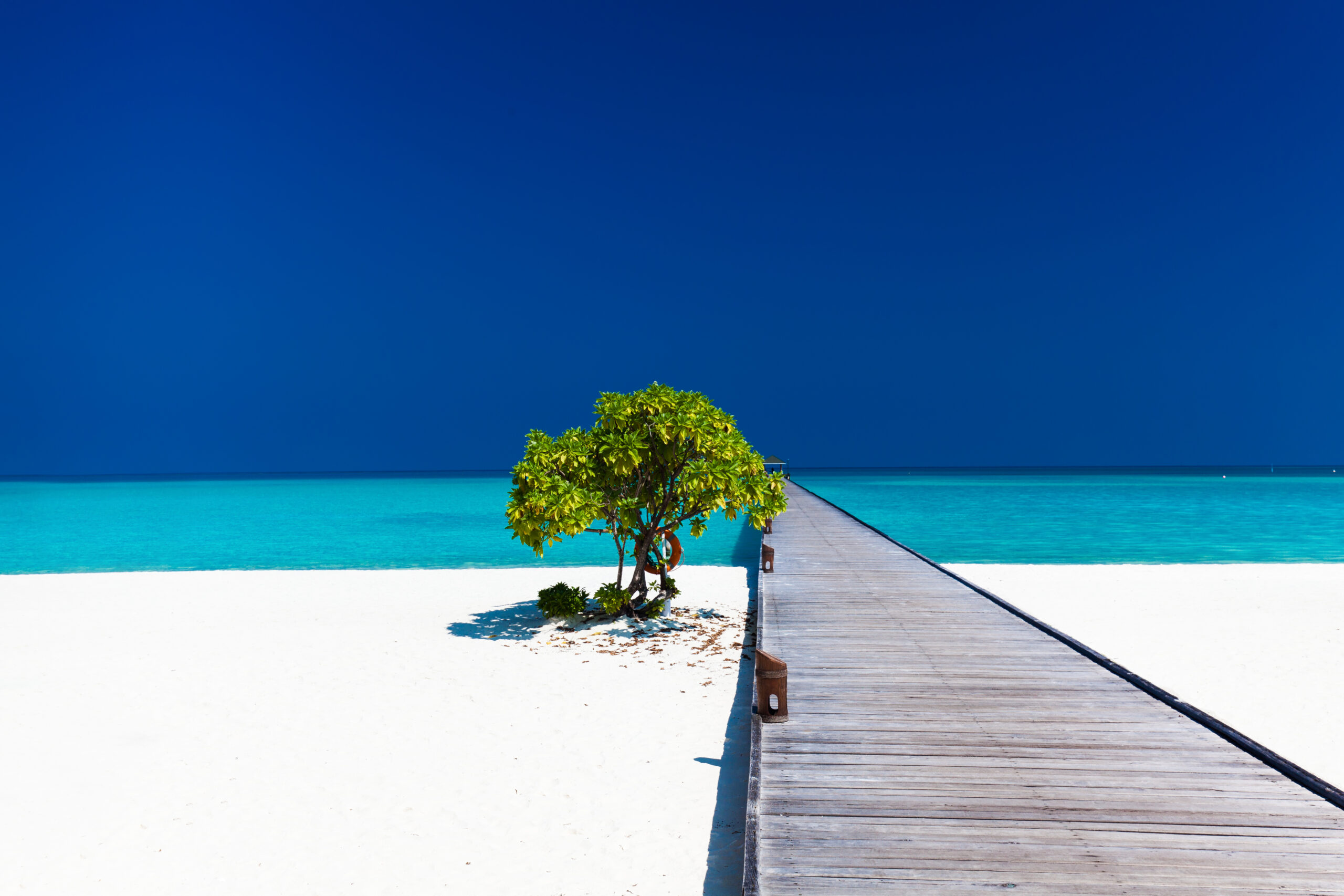 White-sand beach with turquoise water, a tree, and a wooden jetty.